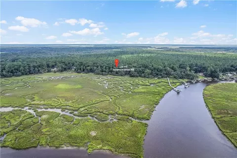 lot56 Julienton Dr NE, Townsend, GA 31331