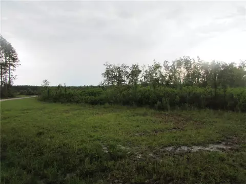 lot29 Grey Hawk Rd, Other, GA 31552