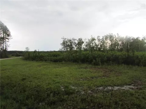 lot29 Grey Hawk Rd #29, Millwood, GA 31552