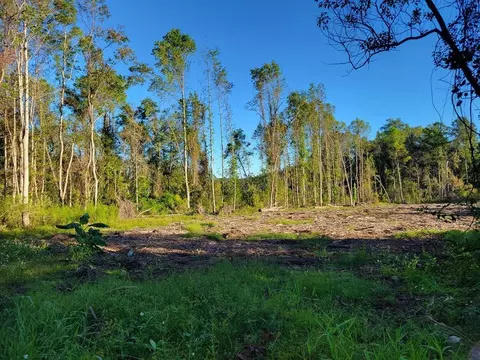 0 Ash Dr, Waycross, GA 31501