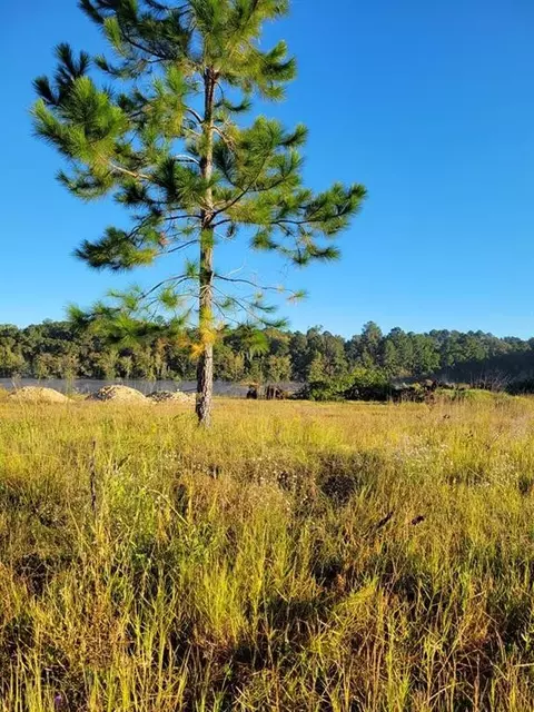03 Alton Cir, Waycross, GA 31501