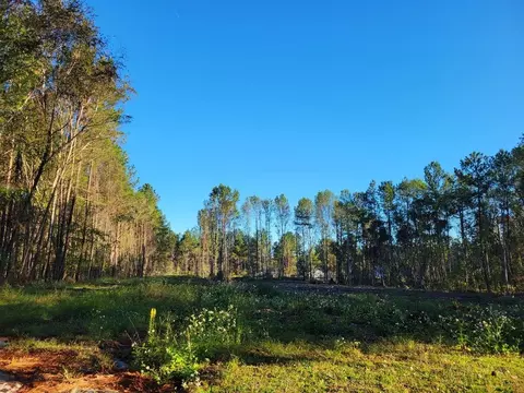 0 Red Oak Dr, Waycross, GA 31501
