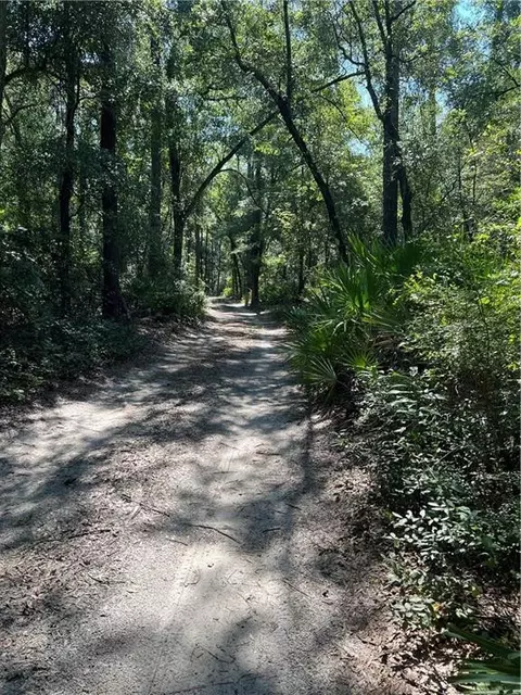 00 W 110 Hwy, Hortense, GA 31543