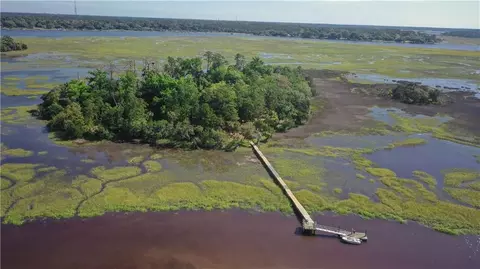 40 Ac Petit Gauve Is, Savannah, GA 31419