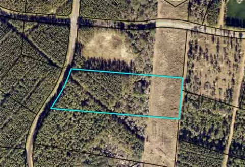 lot58 Magnolia Plantation, White Oak, GA 31568