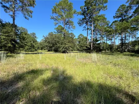 lot111 Sapelo Park Dr #111, Townsend, GA 31331