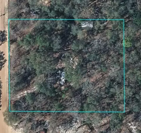 5710 Holly Dr, Blackshear, GA 31516