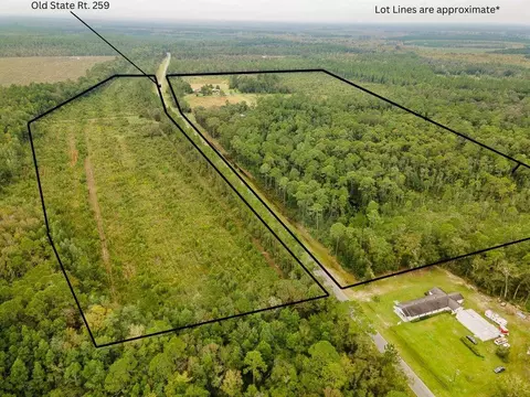 0 Highway 259 Hwy, Waynesville, GA 31566
