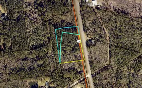 V/l Cornelia Armstrong Tract 1 & 2, Woodbine, GA 31569