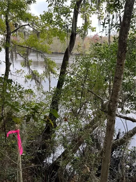 00 Settlers Bluff Rd #15, Folkston, GA 31537