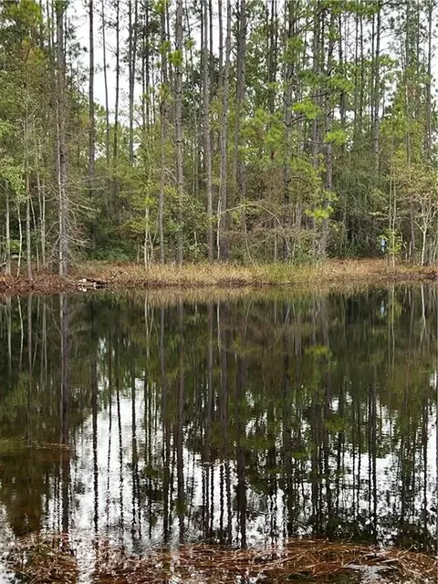00 Gibson Cir, Hortense, GA 31543