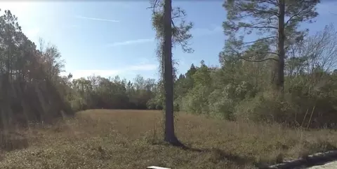 1 B E Thomas Rd, Nahunta, GA 31553