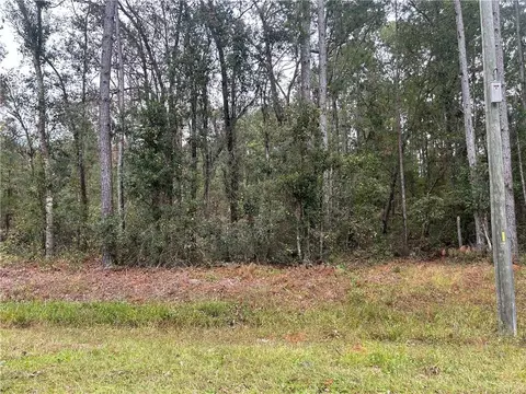 2129 Buck Swamp Rd, Brunswick, GA 31523 photo 4