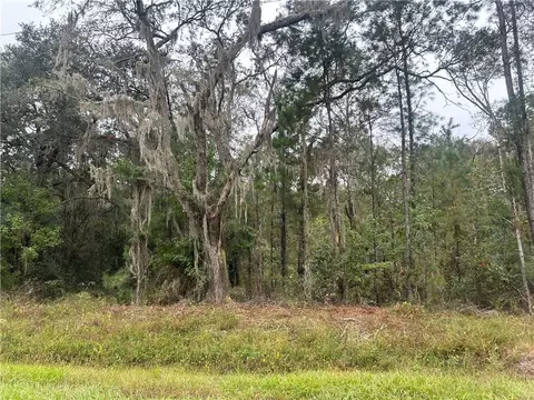 2129 Buck Swamp Rd, Brunswick, GA 31523 photo 5
