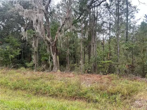 2129 Buck Swamp Rd, Brunswick, GA 31523 photo 2