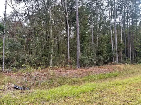2129 Buck Swamp Rd, Brunswick, GA 31523 photo 3