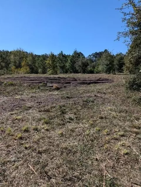 lot98 King George Way, Townsend, GA 31331