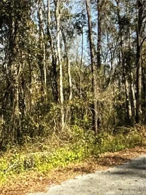 52 53 Wren Rd, Kingsland, GA 31548