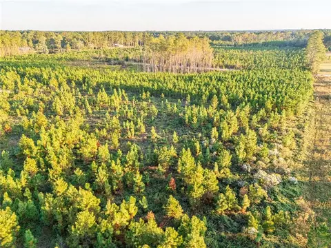 0000 Nursery Rd, Blackshear, GA 31516