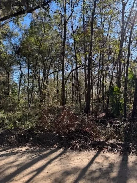 lot3 Blue Heron Lane Ln SE, Darien, GA 31305