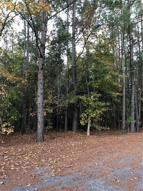 45 Whitetail Trl, Brunswick, GA 31525