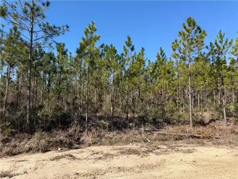 0 Elmer Thrift Rd #8, Waycross, GA 31503