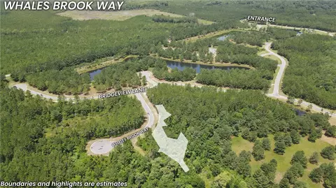 lot394 Whales Brook Way, Waverly, GA 31565