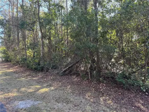 lot42 Eagle Neck Dr NE, Townsend, GA 31331
