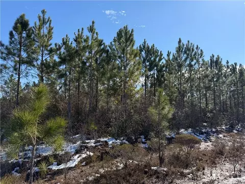 0 Elmer Thrift Rd #12, Waycross, GA 31503