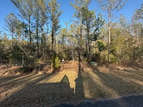 V/l O P Lane, White Oak, GA 31568