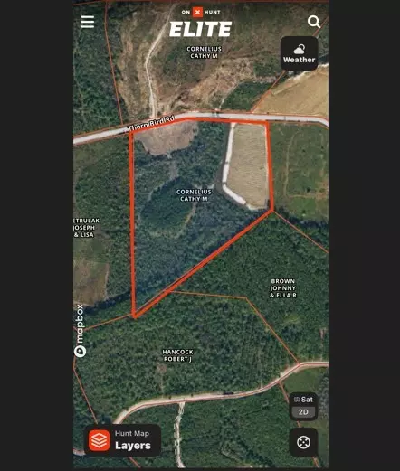 0 Thorn Bird Rd, Other, GA 31552