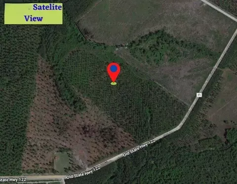 82 W Old 122 Hwy, Manor, GA 31550