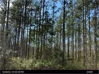 0 Douglas Hwy, Waycross, GA 31503