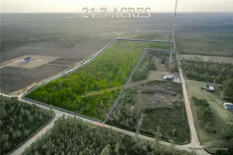 lot58 Thorn Bird Rd, Manor, GA 31552