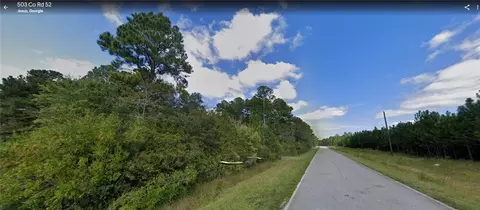 383 Bonham Rd, Jesup, GA 31545
