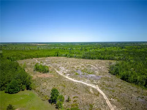 Tract 2 Scuffletown Road, Other, GA 31518