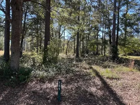 lot151 Sapelo Park Dr Ne Dr, Shellman Bluff, GA 31331