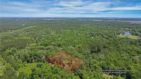 1194 Celtic Rd, Townsend, GA 31331