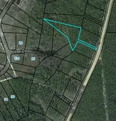 lot16 Old Waynesville Rd, Waynesville, GA 31566