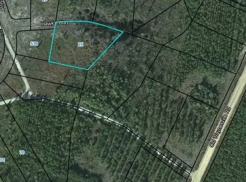 lot25 Hawks Way, Waynesville, GA 31566