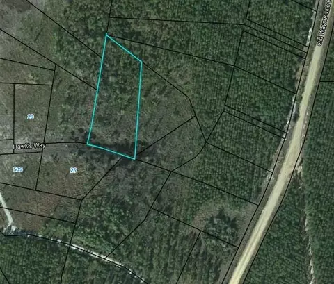 lot21 Hawks Way, Waynesville, GA 31566