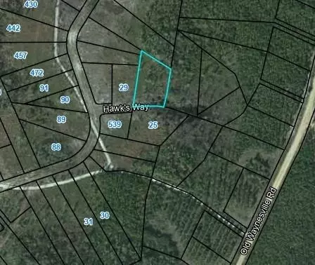 lot20 Hawks Way, Waynesville, GA 31566