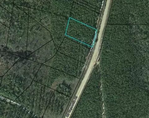 lot17 Old Waynesville Rd, Waynesville, GA 31566