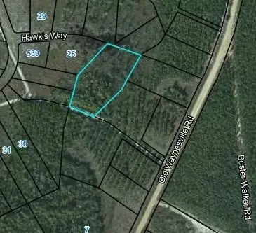 lot24 Hawks Way, Waynesville, GA 31566