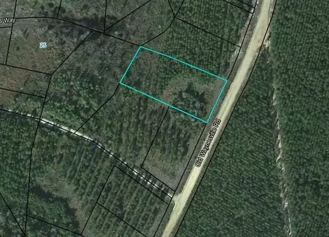 lot13 Old Waynesville Rd, Waynesville, GA 31566