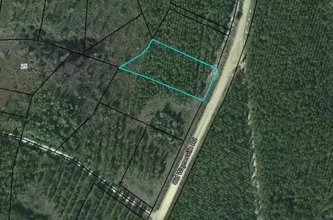 lot14 Old Waynesville Rd, Waynesville, GA 31566