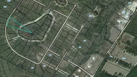lot93 Picketts Mill Trl, Waynesville, GA 31566