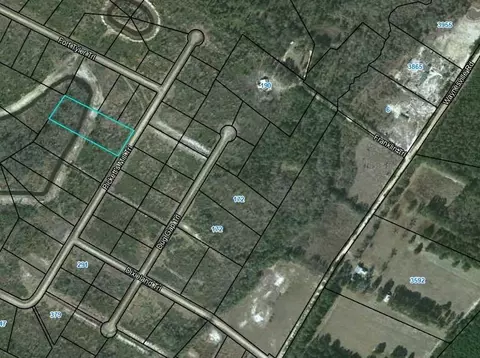 lot80 Picketts Mill Trl, Waynesville, GA 31566