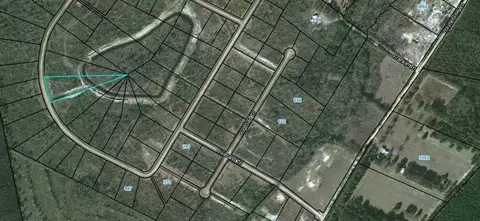lot91 Picketts Mill Trl, Waynesville, GA 31566