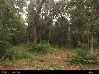 2153 Hawthorne Rd NE, Shellman Bluff, GA 31331